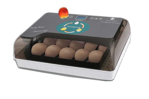 Amazon | TRQQO 自動孵卵器 鳥類専用インキュベーター 自動転卵 孵卵器