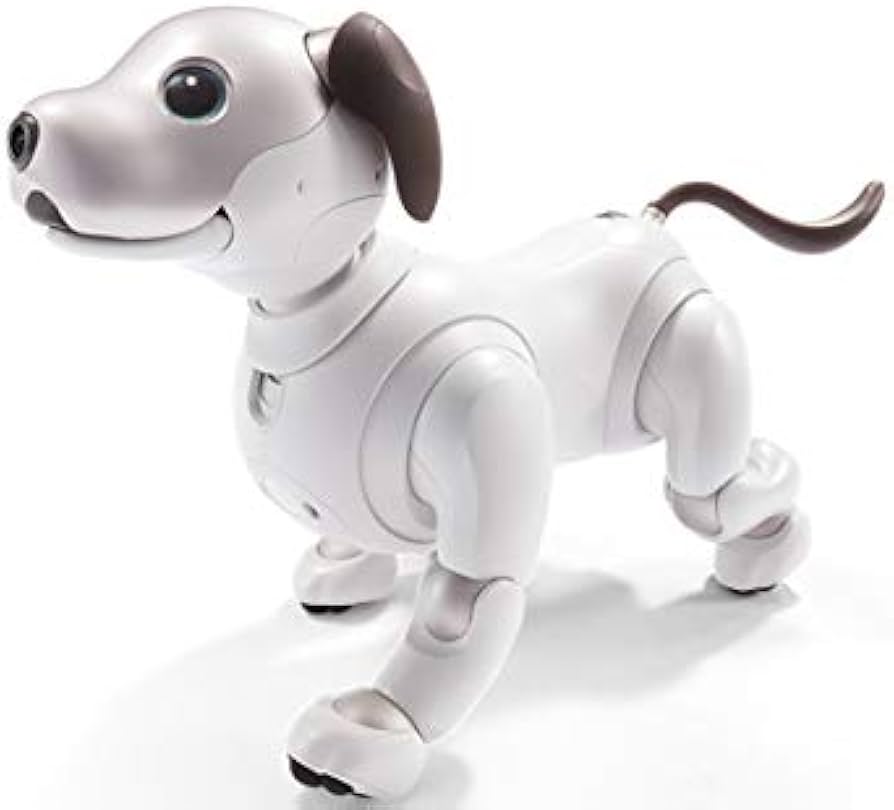 Amazon | SONY AIBO ERS-1000 アイボーン付属 | 電動ロボット | おもちゃ