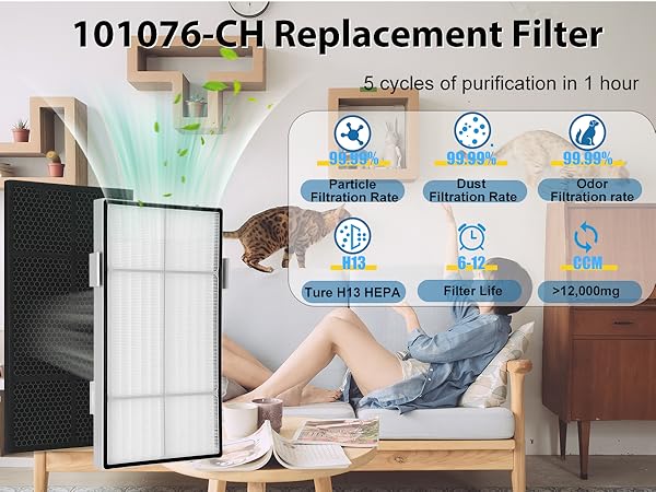 Amazon.com: 101076 Series Filter kit for Amway Atmosphere Air