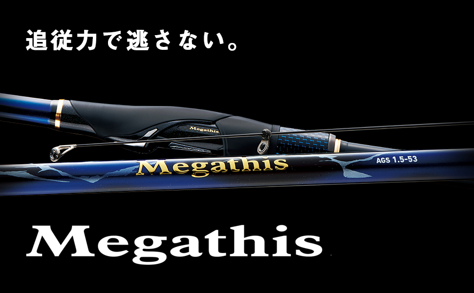 Amazon | ダイワ(DAIWA) 磯竿 メガディス Megathis AGS・N 1-53・N