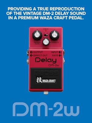Amazon.com: Boss DM-2W Delay Waza Craft Guitar Effects Pedal