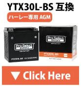 Amazon | ProSelect(プロセレクト) バイク PS4A-BS スタンダード