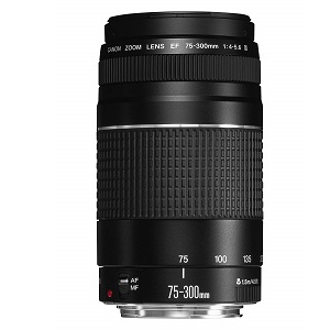 Canon EF 75-300mm f/4-5.6 III Telephoto Zoom Lens for Canon SLR