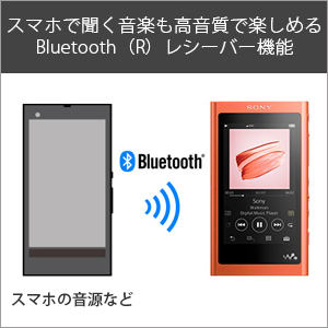 Amazon | ソニー ウォークマン Aシリーズ 16GB NW-A55 : MP3プレーヤー