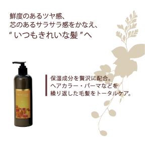 Amazon | 【美容室専売品】ソルブシャンプーAquaflow｜ソルブ