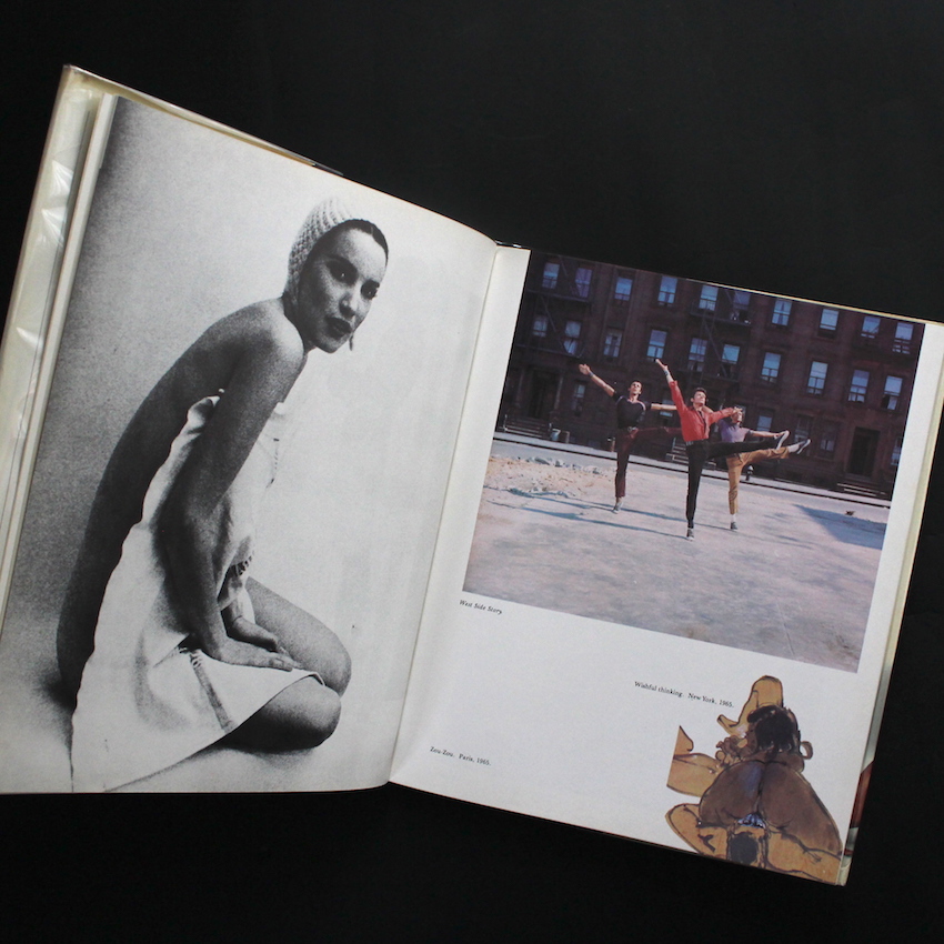 Jungle Fever - Jean-Paul Goude