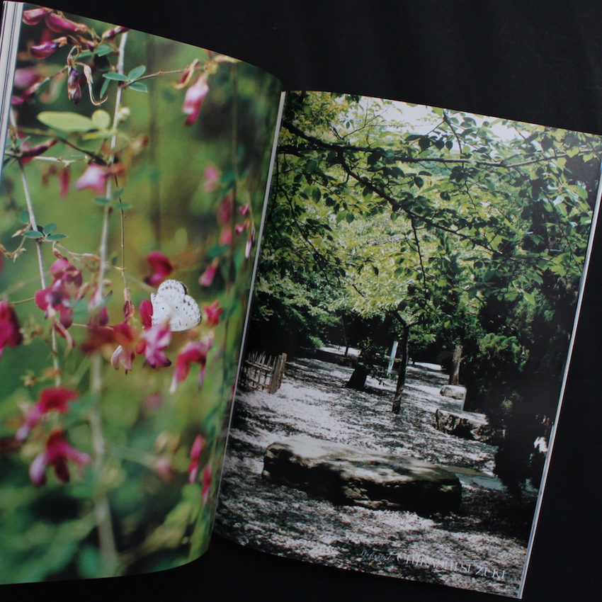 Quarterly DUNE No.27 2004 Summer