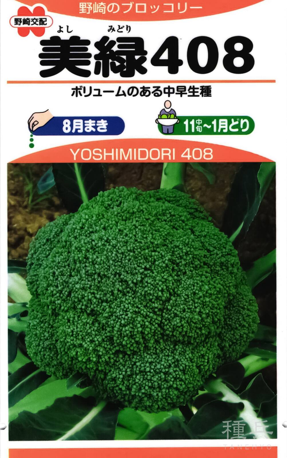 ブロッコリー 種 『美緑408』 野崎採種場 | たね,葉菜の種