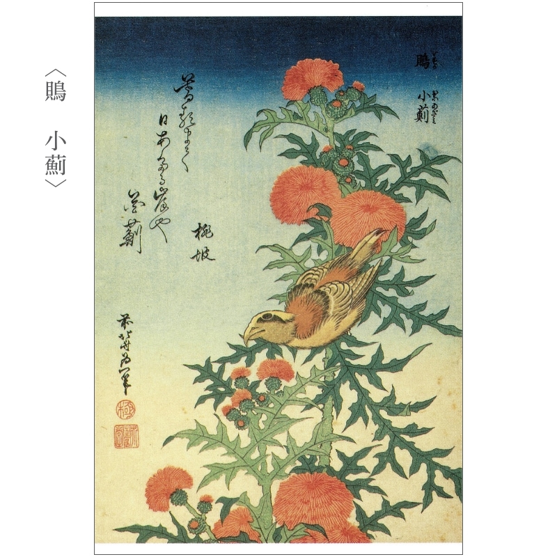 絵はがきセット〈葛飾北斎 花鳥画撰〉(10枚組)京都便利堂オンライン