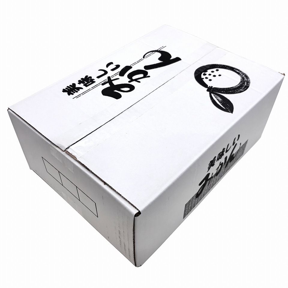 みかん用送り箱】美味しいみかん 5㎏（10枚入） 内寸：260×365×H135mm