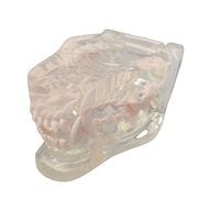 ニッシン シンプルマネキンⅢ 基本セット