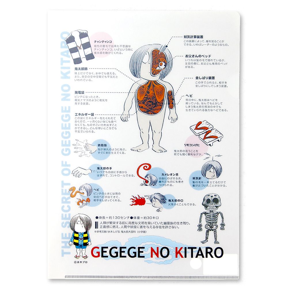 ゲゲゲの鬼太郎/クリアファイル 鬼太郎のひみつ（鬼太郎 プロフィール