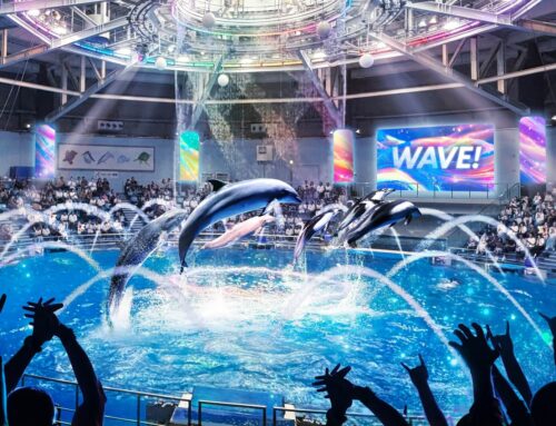 アクアパーク品川、ドルフィンパフォーマンス会場がリニューアル 入館