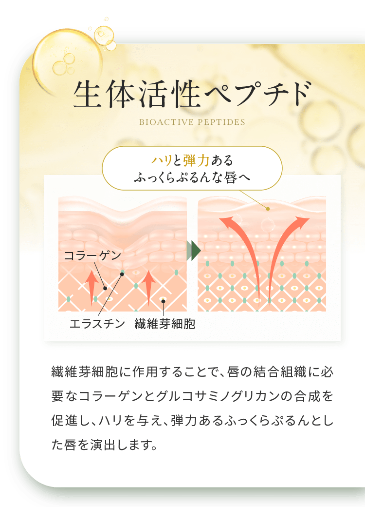 美容液リップスティック msl No.003 Maison Saki Lab.-[Maison Saki