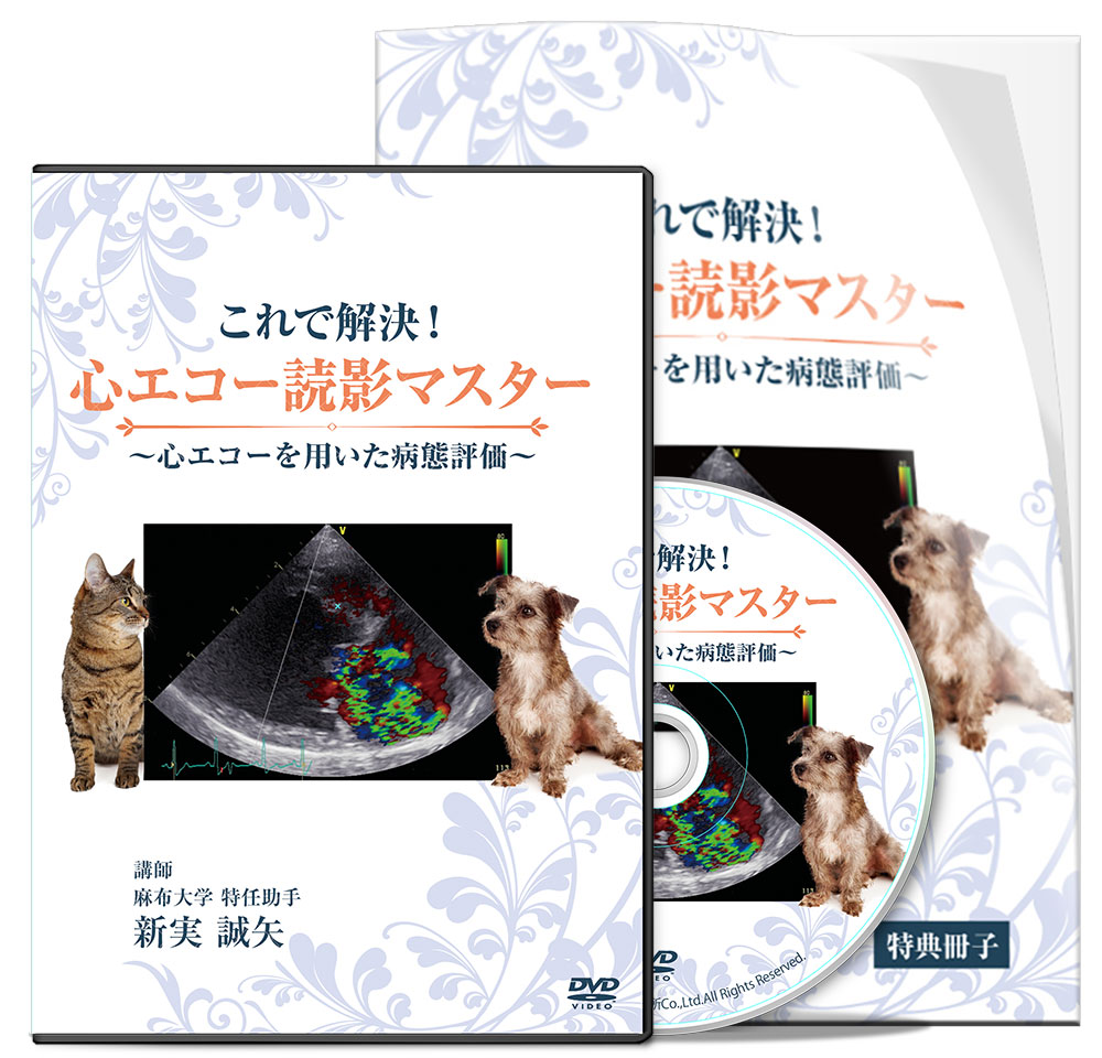 これで解決！心エコー読影マスター | 医療情報研究所 DVD教材ストア