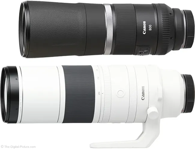 Canon RF 600mm F11 IS STM Lens Review