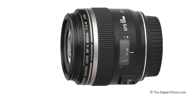 Canon EF-S 60mm f/2.8 Macro USM Lens Review