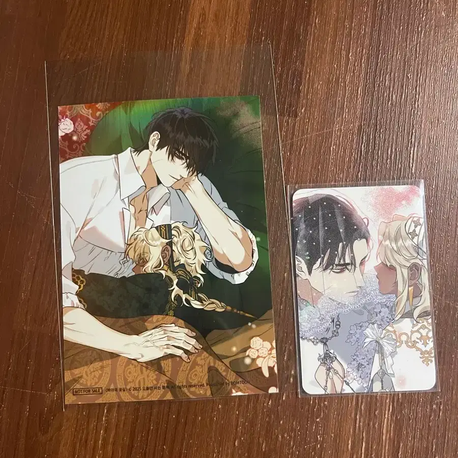 Bomtoon Home Party Pop-up Store White Night Flower Path 100,000