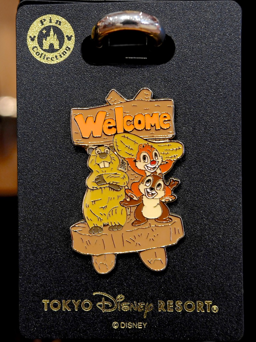 クリッターカントリーデザイン！東京ディズニーランド「チップ&デール