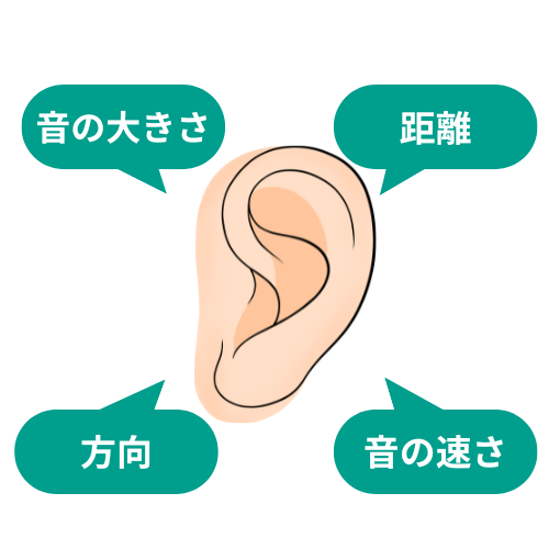 両耳型】みみ太郎 SX-009 | 立体集音器 みみ太郎