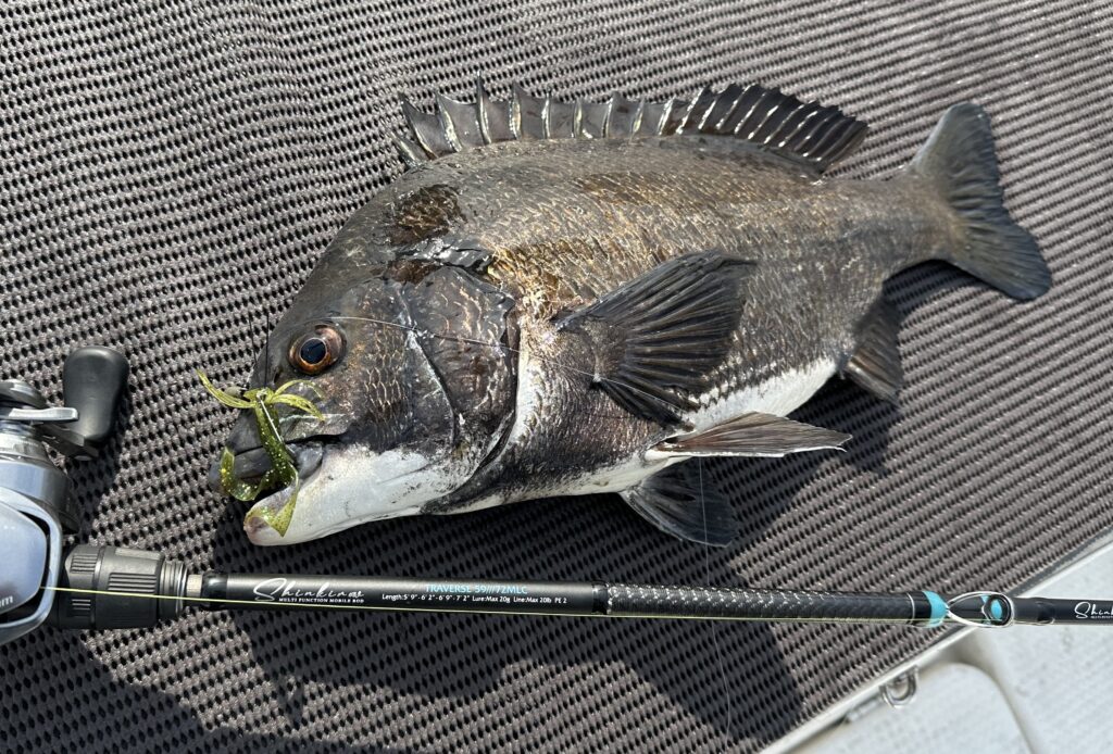 Shinkirow TRAVERSE 59///72MLC」ジャンル横断のマルチユース・6モード