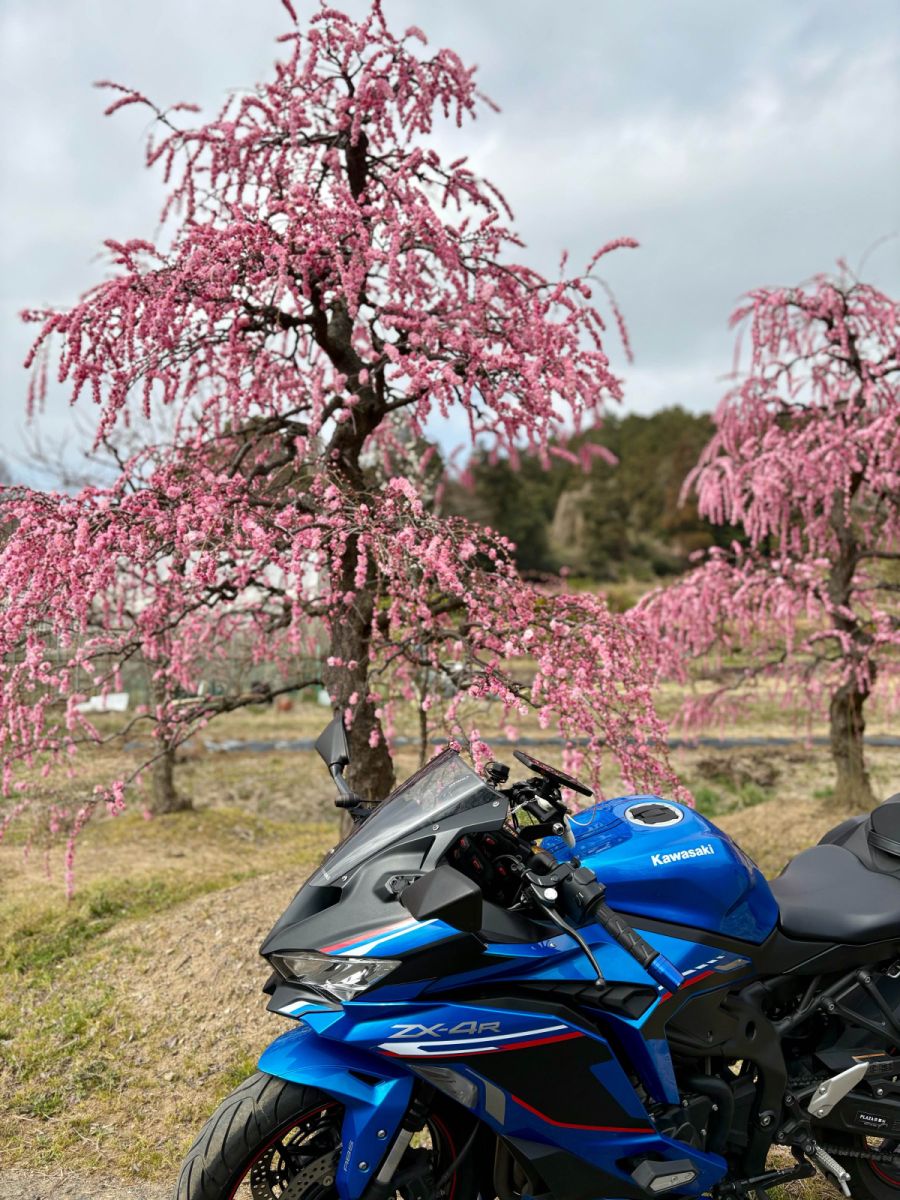 投稿詳細｜MOTOCLE