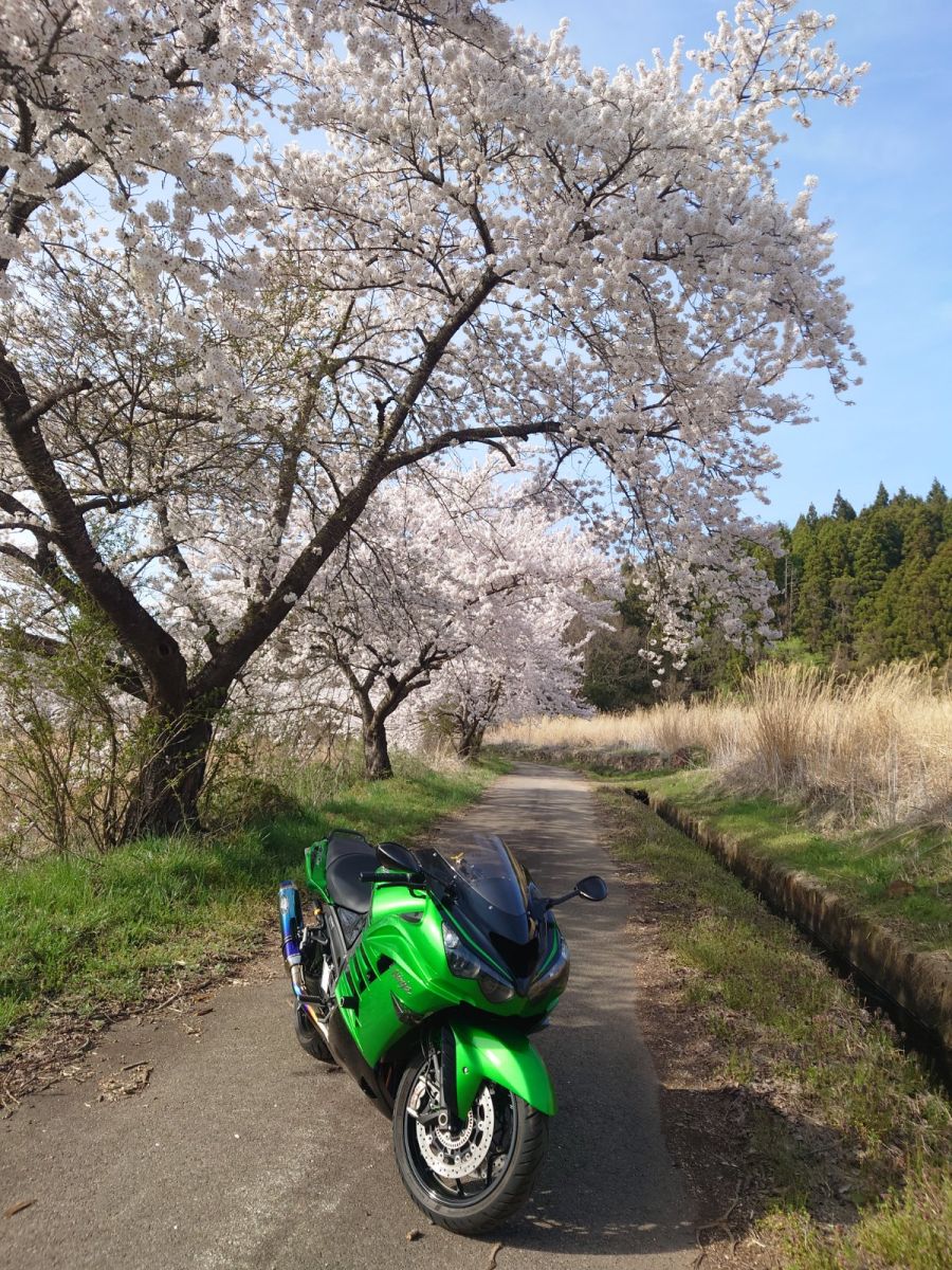 投稿詳細｜MOTOCLE