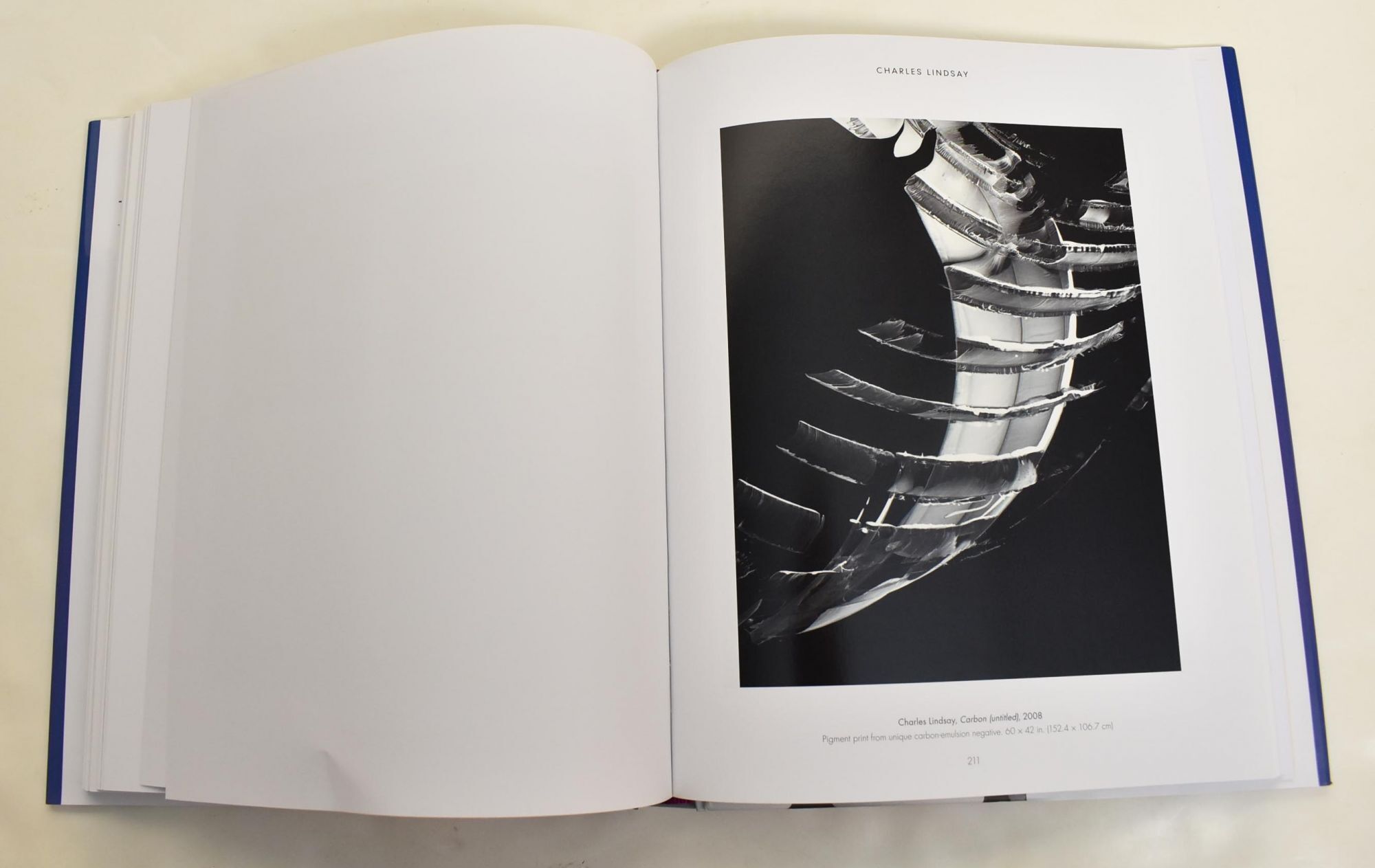 The Edge of Vision: The Rise of Abstraction in Photography | Lyle