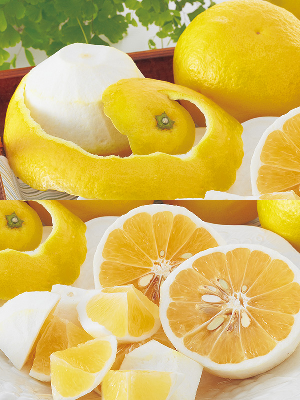 ワケありニューサマーオレンジ約5kg | のま果樹園