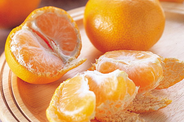 コタツでみかん「プチセット」 | のま果樹園