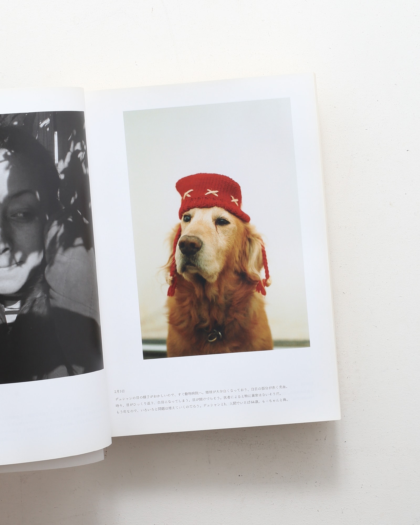 上田義彦写真集 at Home | nostos books ノストスブックス