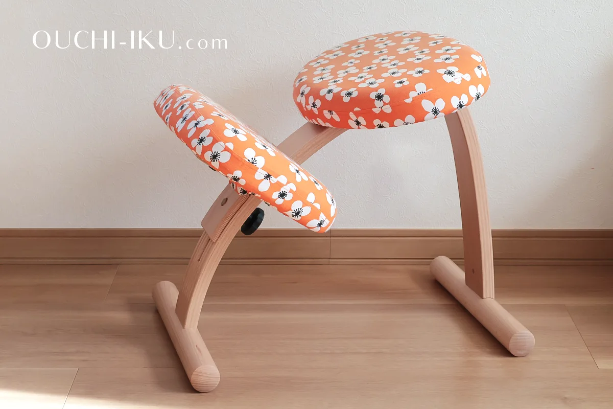 バランスチェア イージー 2脚セット カバー付bサカモトハウス サカモト