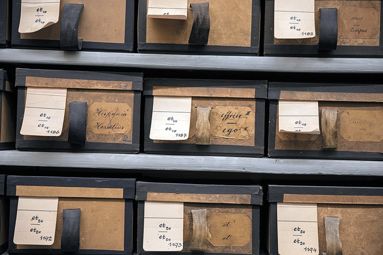 1世紀かけても終わらない ラテン語辞典づくりに生涯をかける人たち