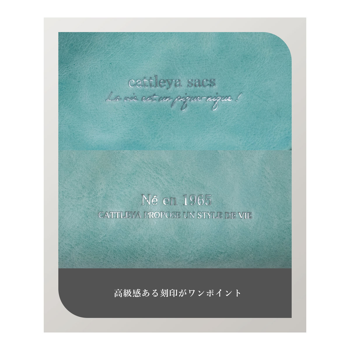 cattleyasacs,長財布 ,ラウンドファスナー, 本革, 牛革, BP2191