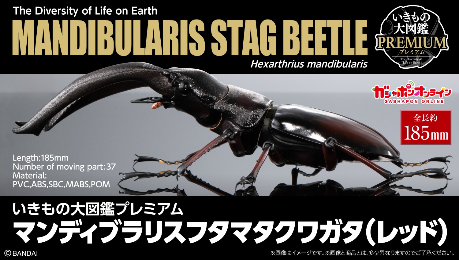 いきもの大図鑑プレミアム マンディブラリスフタマタクワガタ
