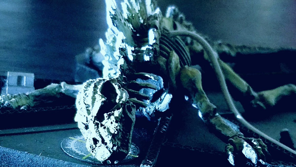 1954年に日本を襲ったゴジラの骨です。 ゴジラオーナメント特撮大百科