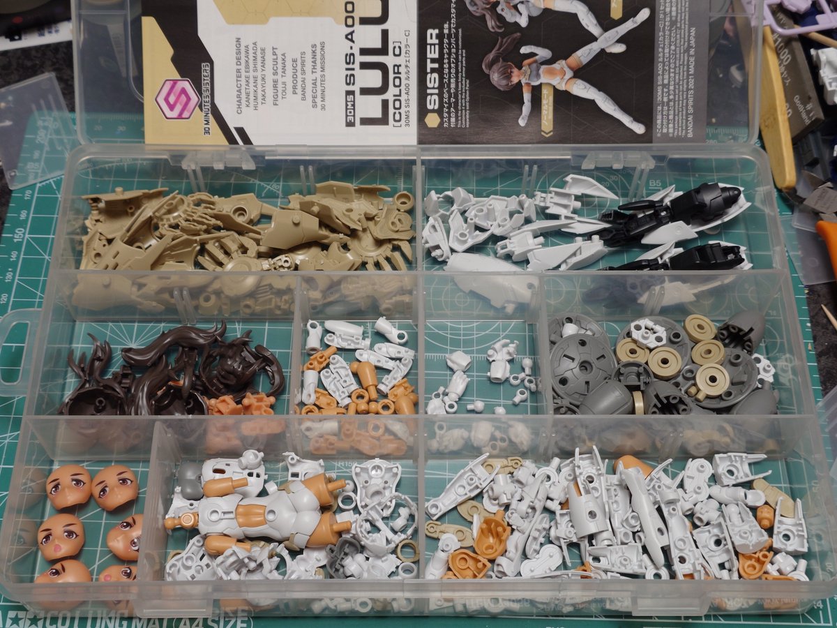 30MM、30MSは、ダイソーのセクションケース（18マス）を使用して整理し