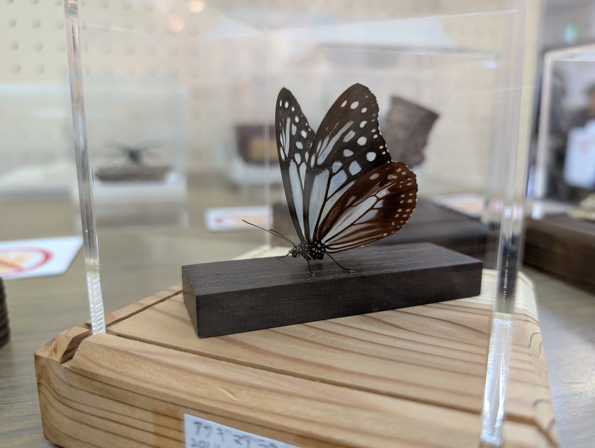 いちか (@1to3kan) / Posts / X