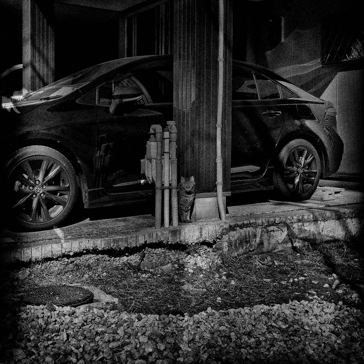 Monochrome of Escape