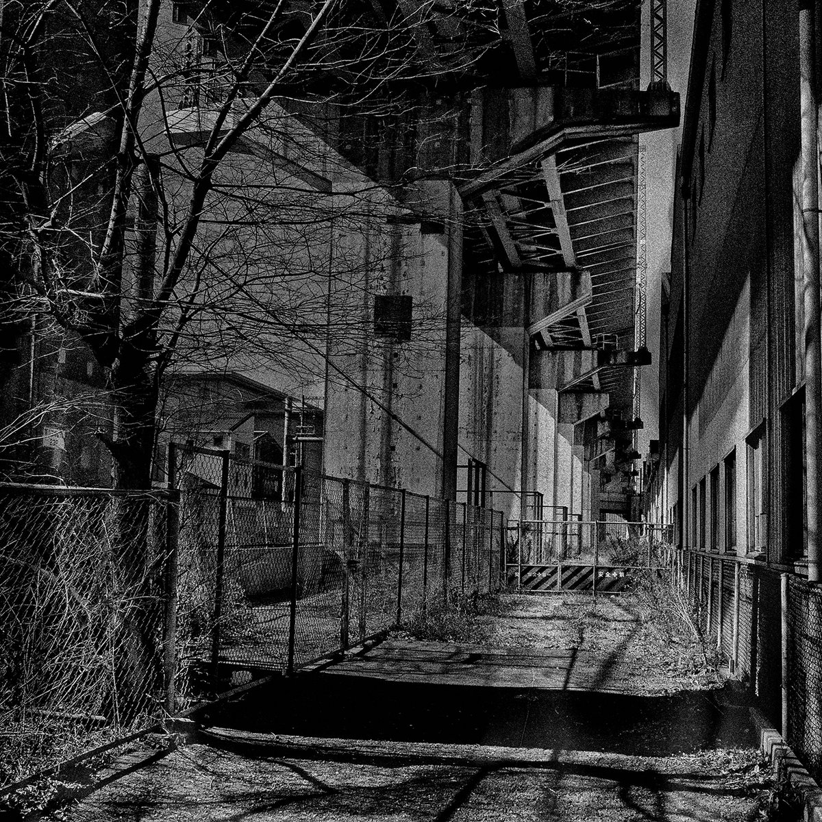 Monochrome of Escape