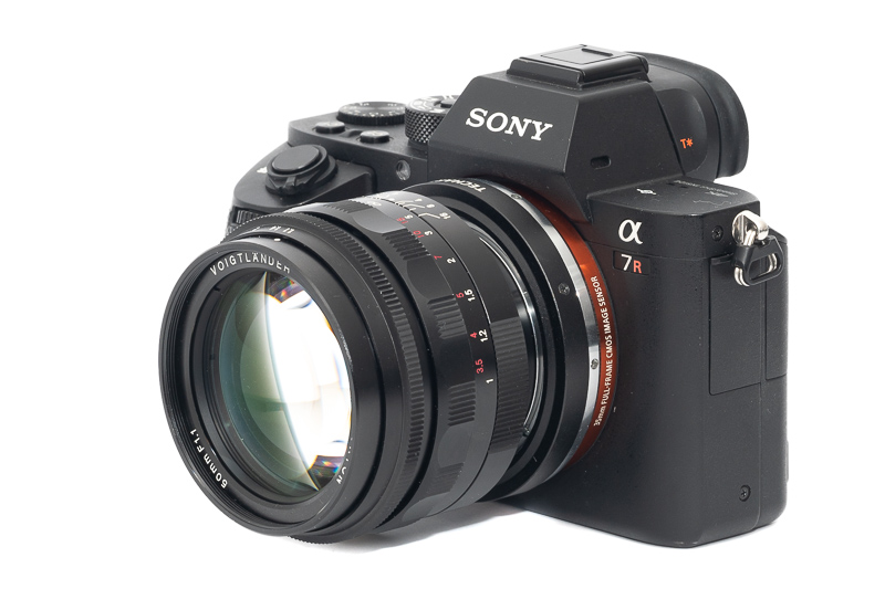 Review: Voigtländer 50mm 1.1 Nokton - Better than its reputation