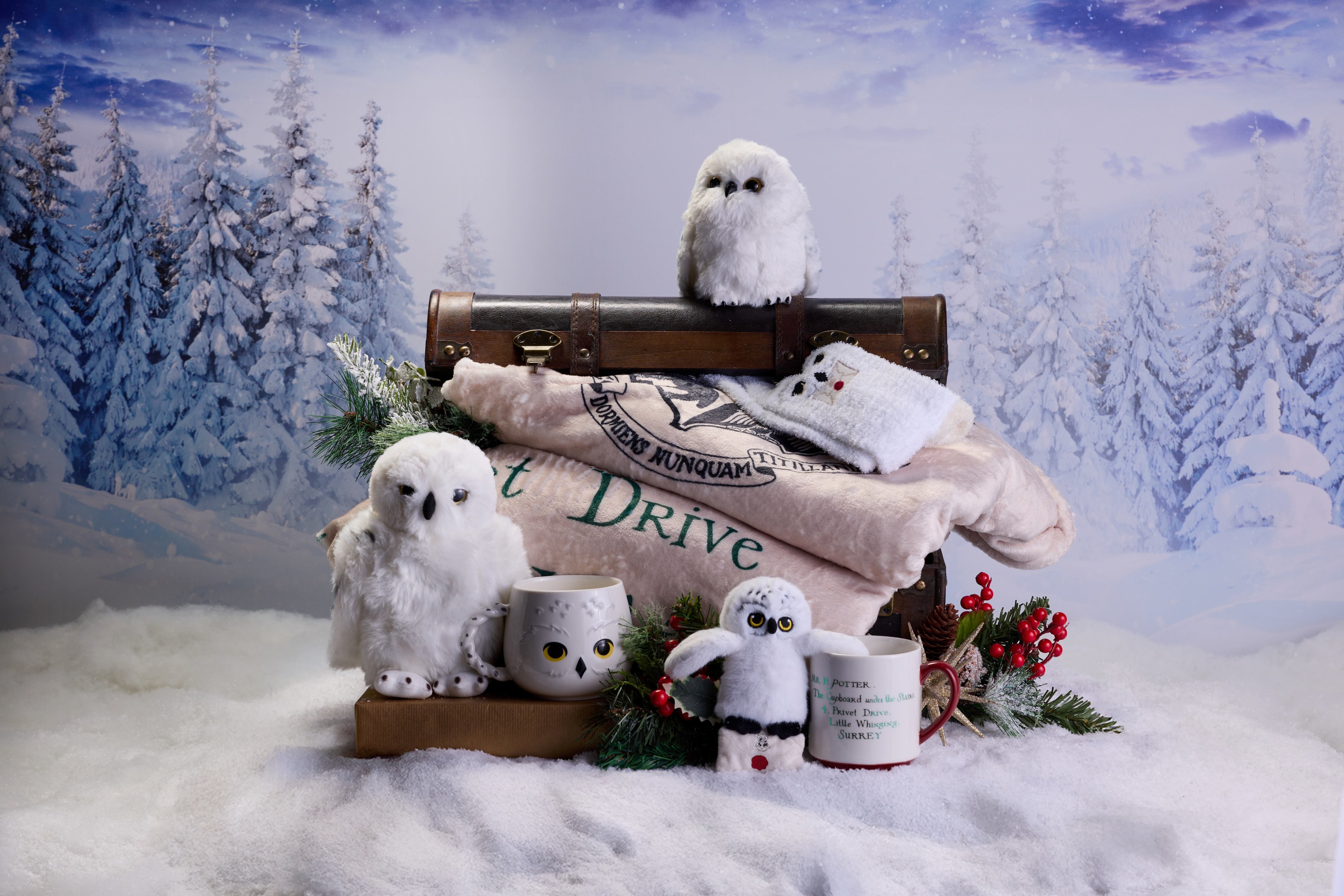 ワーナー ブラザース スタジオツアー東京 - メイキング・オブ・ハリー