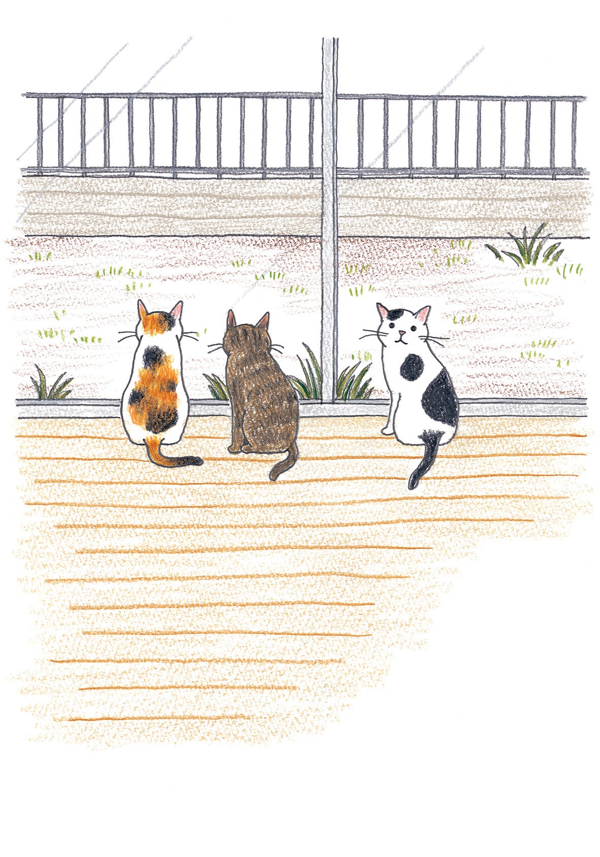 世界猫の日 「気づけば猫ばかり描いていた」人気イラストレーター小泉