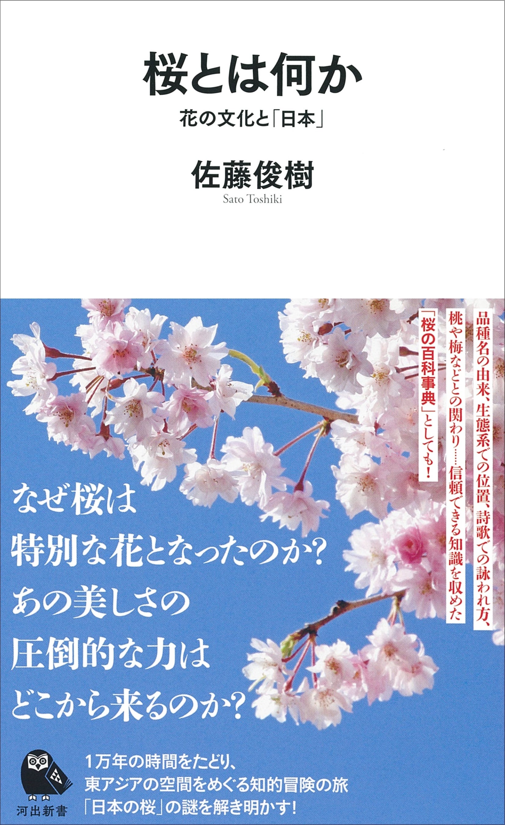 なぜ桜だけが特別なのか〉今年の開花も間近！ 社会学者・佐藤俊樹が