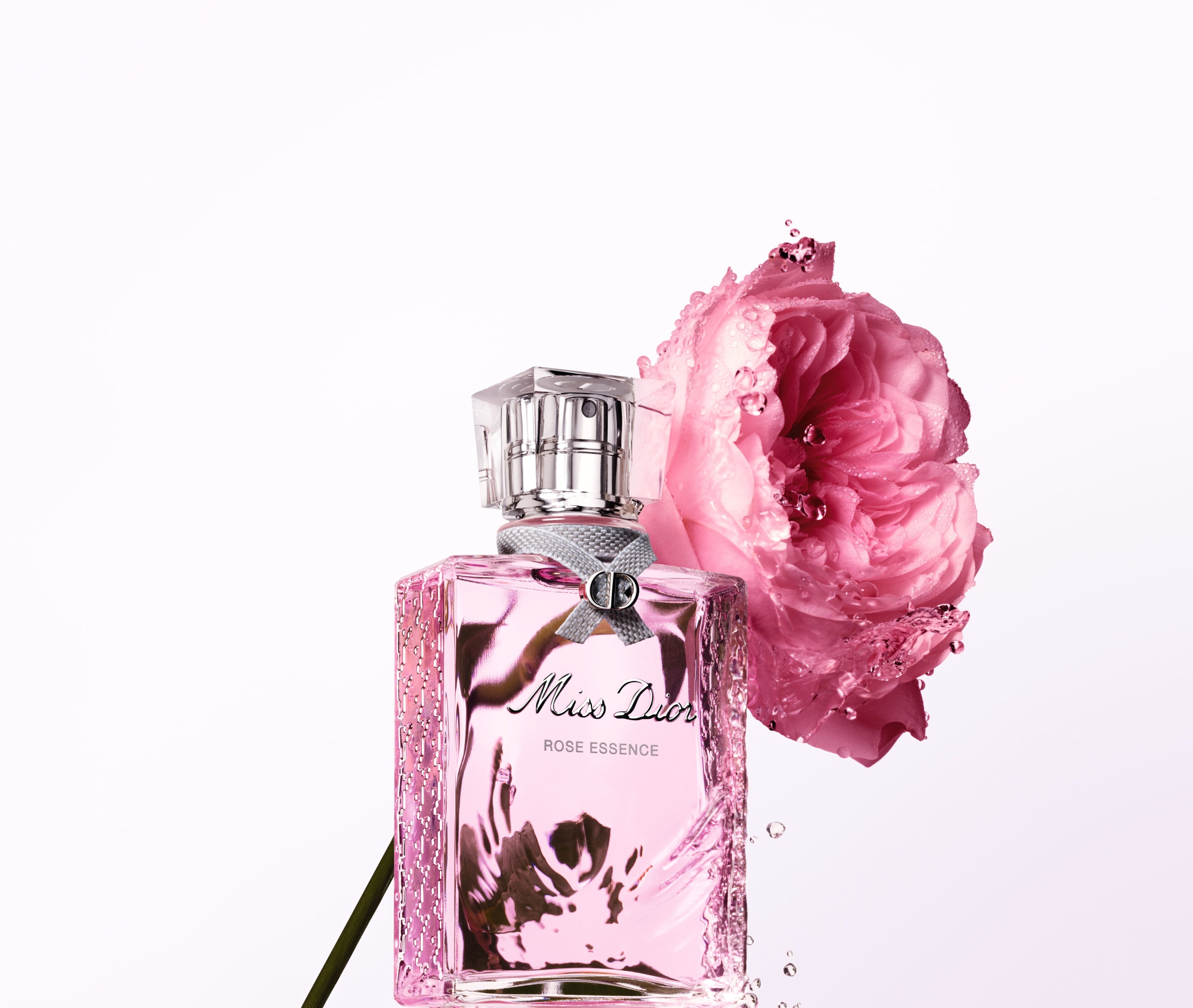 希少なグラース ローズの美しさを届ける「ミス ディオール ローズ