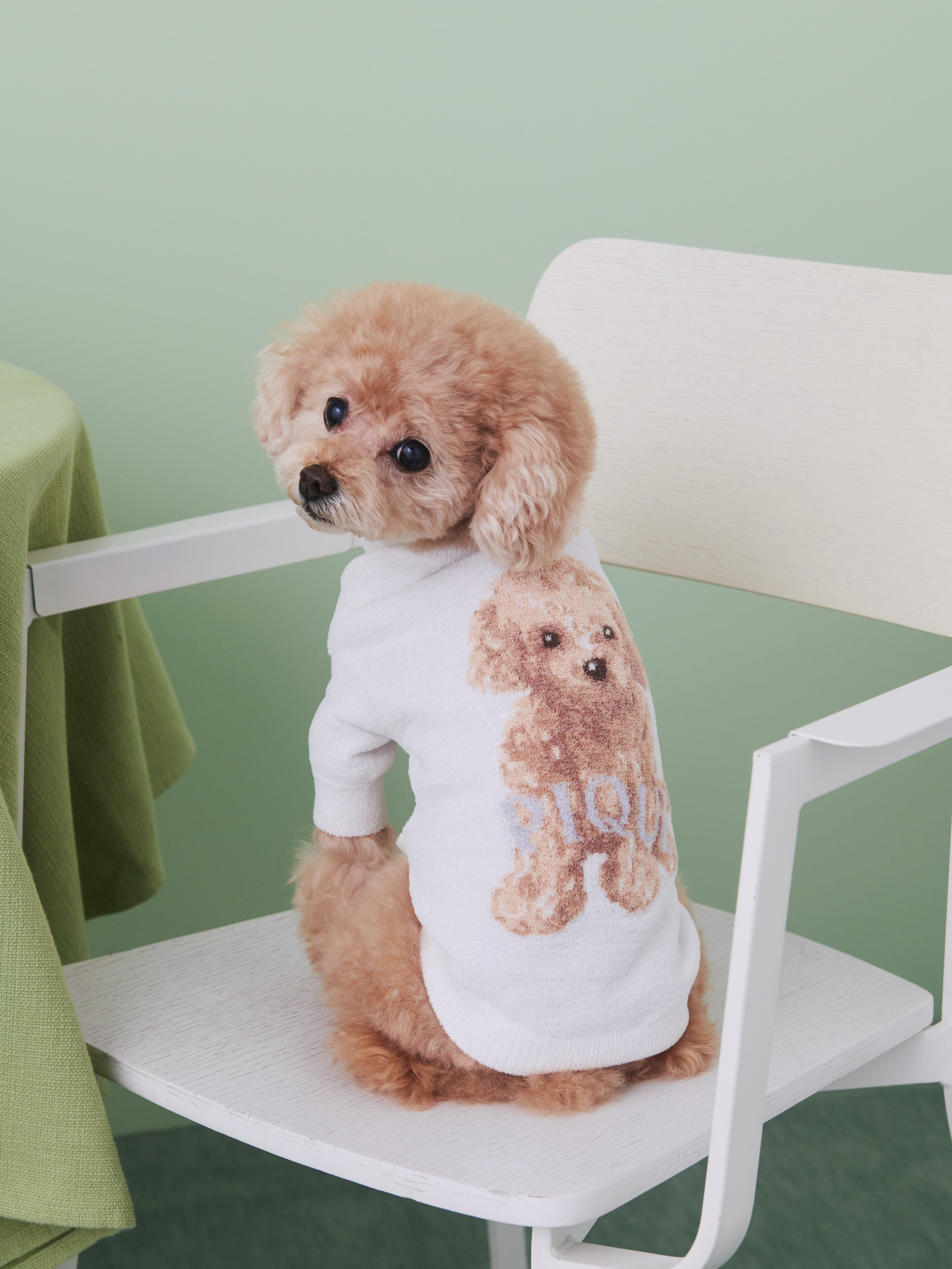 ジェラートピケ Sleep DOGプリント毛布 トイプードル ブランケット