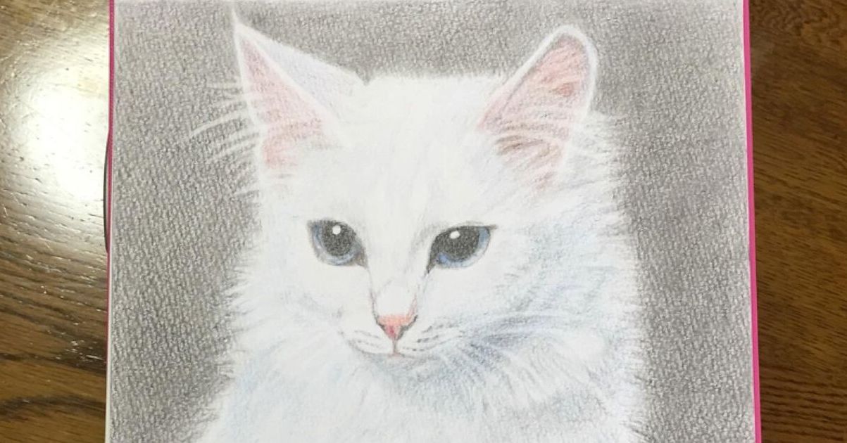 ←色鉛筆画を始めた当初 1年後→ 「こんなに変わるんですか？」 あまり