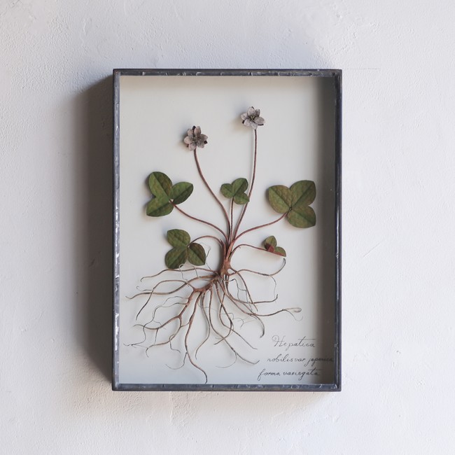 IDÉE TOKYO】モリソン小林 作品展