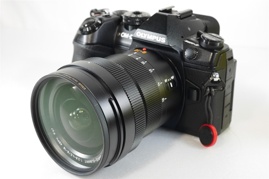 サイズと画質がほぼ完璧』 パナソニック LEICA DG VARIO-ELMARIT 8