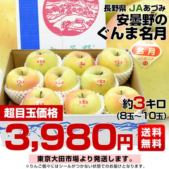 長野県産 JAあづみ 安曇野 ぐんま名月(めいげつ) 約3キロ （8玉から10